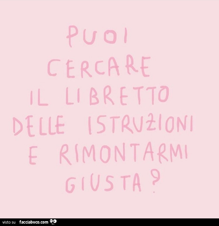 Puoi Cercare Il Libretto Delle Istruzioni E Rimontarmi Giusta Facciabuco Com