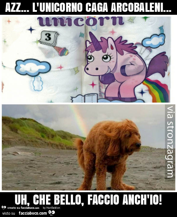 Azz… l'unicorno caga arcobaleni… uh, che bello, faccio anch'io