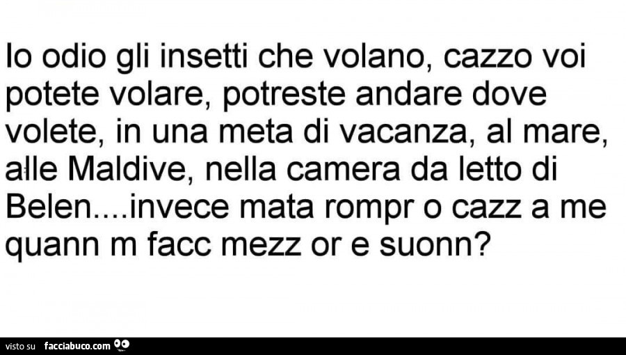 Io odio gli insetti che volano, cazzo voi potete volare, potreste andare dove volete, in una meta di vacanza, al mare, alle maldive, nella camera da letto di belen… invece mata rompr o cazz a me quann di facc mezz or e suonn?