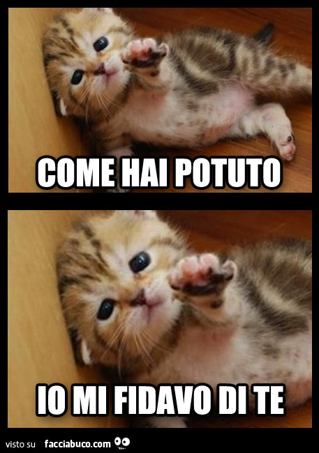 Come hai potuto. Io mi fidavo di te