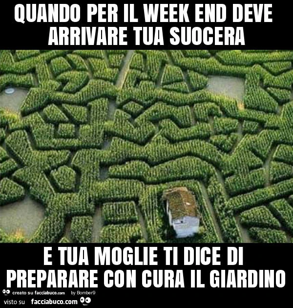 Quando per il week end deve arrivare tua suocera e tua moglie ti dice di preparare con cura il giardino