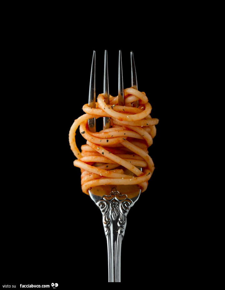 Forchettata di spaghetti al sugo