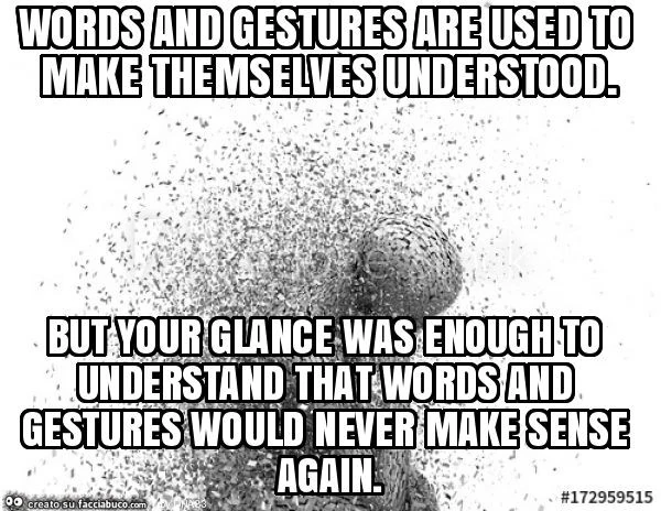 Words and gestures are used to make themselves understood. But your glance was enough to understand that words and gestures would never make sense again