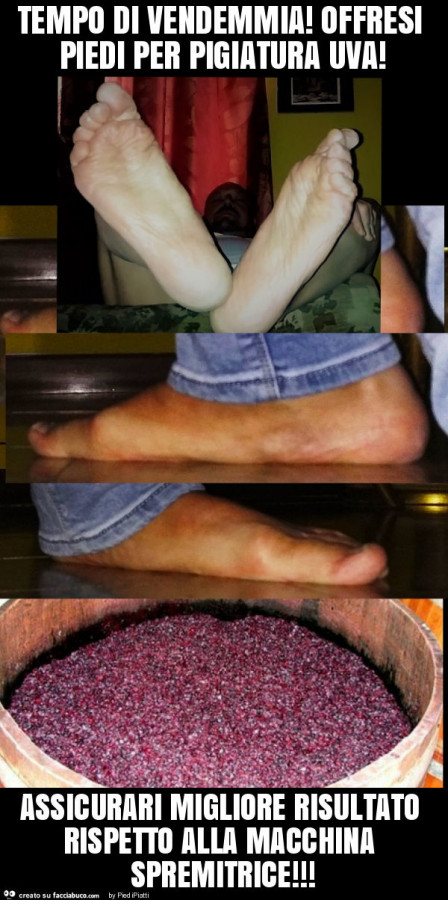 Tempo di vendemmia! Offresi piedi per pigiatura uva! Assicurari migliore risultato rispetto alla macchina spremitrice