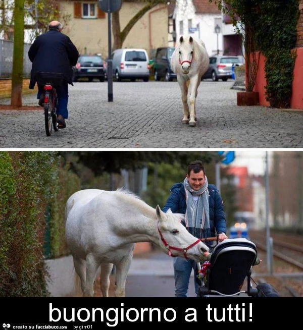 Buongiorno a tutti