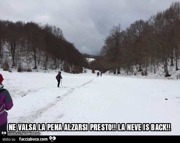 Ne valsa la pena alzarsi presto! La neve is back
