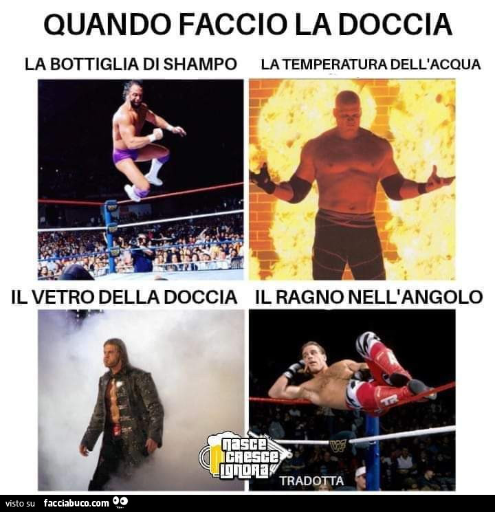 Vaccata