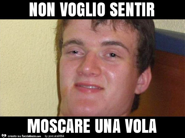Non voglio sentir moscare una vola