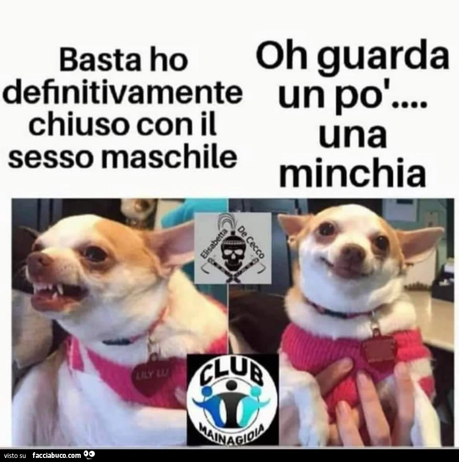 Vaccata