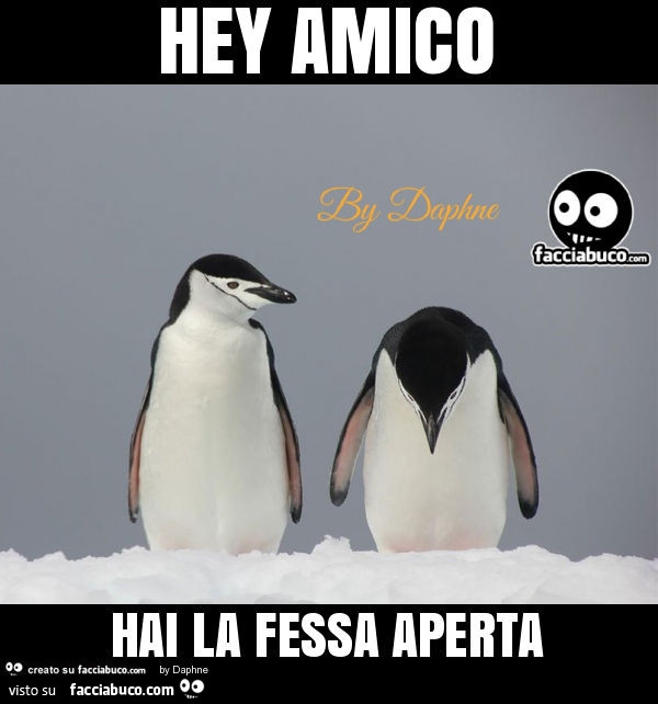 Hey amico hai la fessa aperta