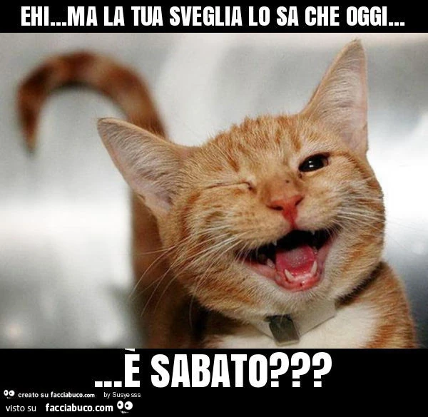 Ehi&hellip; ma la tua sveglia lo sa che oggi&hellip; è sabato?