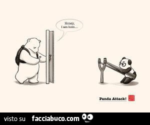 Panda a fionda per l'abbraccio