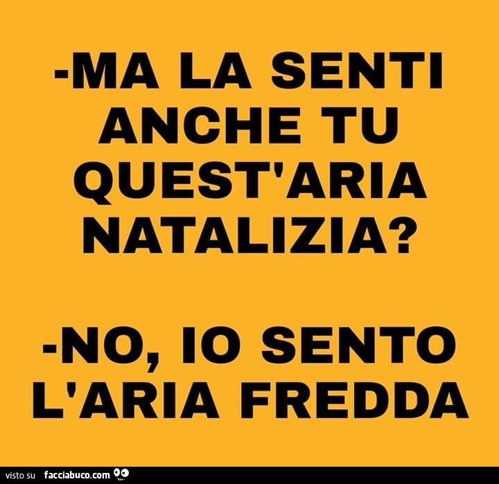 Ma la senti anche tu quest'aria natalizia? No, io sento l'aria fredda