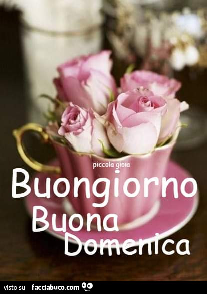 Buongiorno buona Domenica