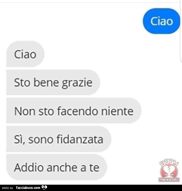 Ciao ciao sto bene grazie non sto facendo niente sì, sono fidanzata addio anche a te