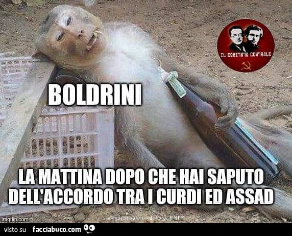 Boldrini la mattina dopo che hai saputo dell'accordo tra i curdi ed assad
