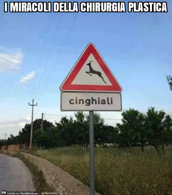 I miracoli della chirurgia plastica