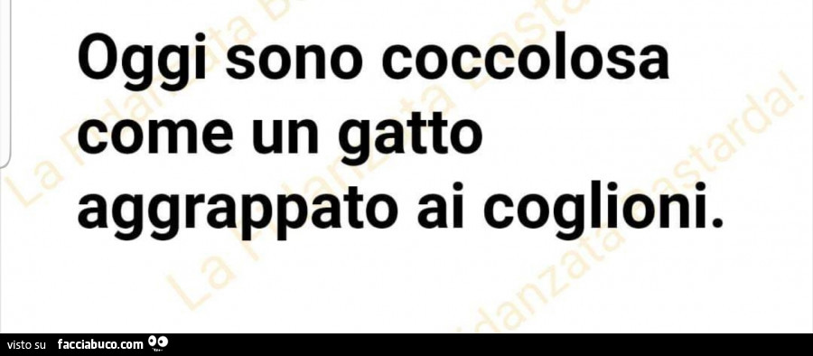 Oggi sono coccolosa come un gatto aggrappato ai coglioni