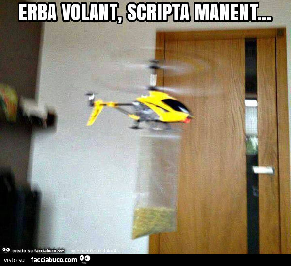Erba volant, scripta manent