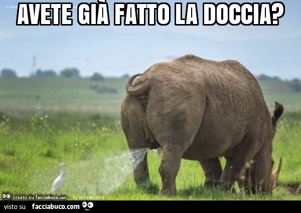 Avete già fatto la doccia?