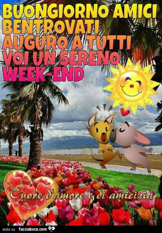 Buongiorno amici bentrovati auguro a tutti voi un sereno week-end