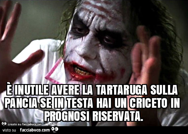 È inutile avere la tartaruga sulla pancia se in testa hai un criceto in prognosi riservata