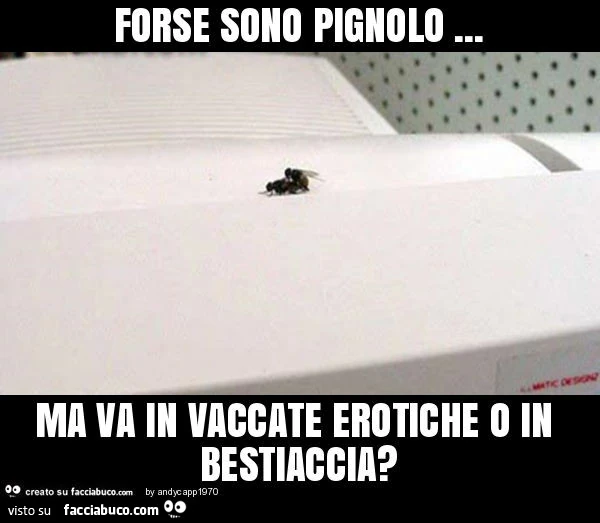 Forse sono pignolo… ma va in vaccate erotiche o in bestiaccia?