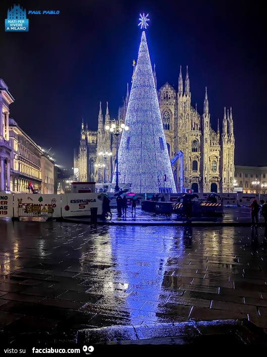 Albero di Natale di Milano 2019