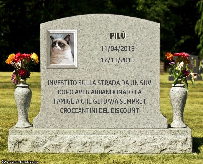 Pilù. Investito sulla strada da un suv dopo aver abbandonato la famiglia che gli dava sempre i croccantini del discount