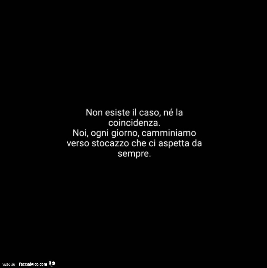Non esiste il caso, né la coincidenza. Noi, ogni giorno, camminiamo verso stocazzo che ci aspetta da sempre
