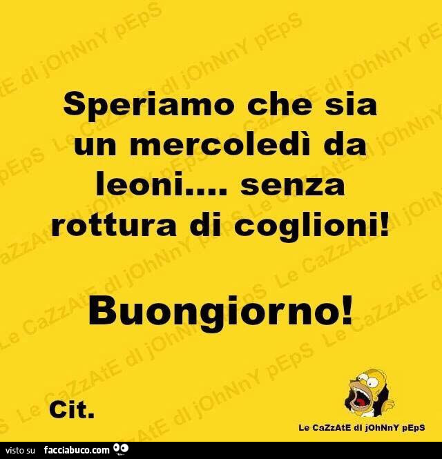 Speriamo che sia un mercoledì da leoni… senza rottura di coglioni! Buongiorno