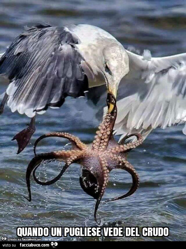 Quando un pugliese vede del crudo