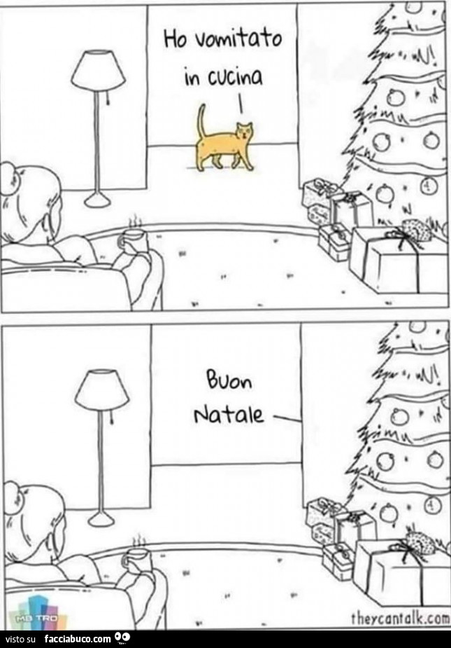 Gatto: ho vomitato in cucina. Buon natale