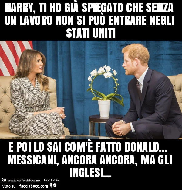 Harry, ti ho già spiegato che senza un lavoro non si può entrare negli stati uniti e poi lo sai com'è fatto donald&hellip; messicani, ancora ancora, ma gli inglesi
