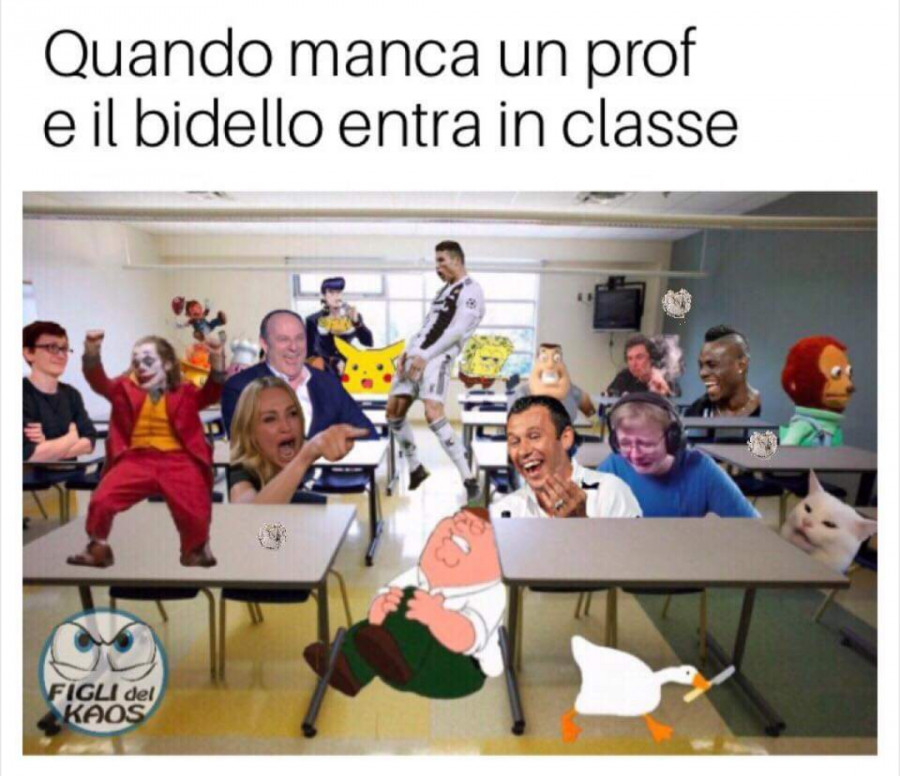 Vaccata