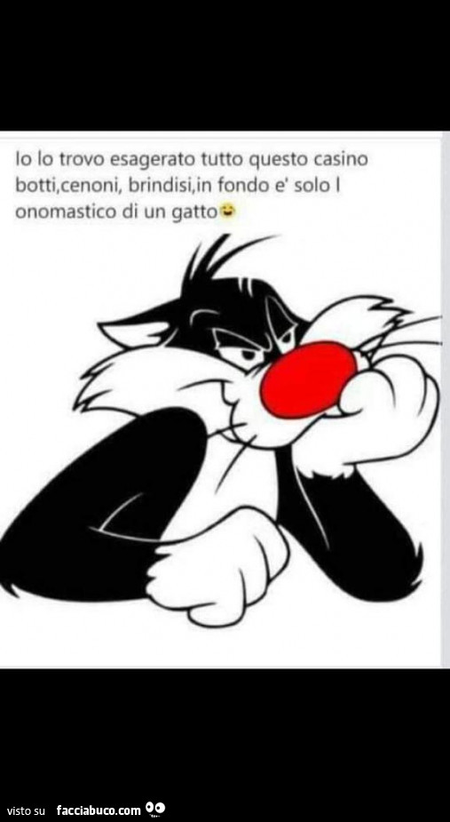 Io lo trovo esagerato tutto questo casino botti, cenoni, brindisi, in fondo è solo l'onomastico di un gatto