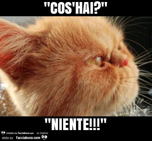 "cos'hai? " "Niente! "