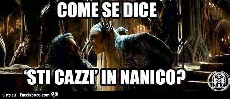 Come se dice sti cazzi in nanico?