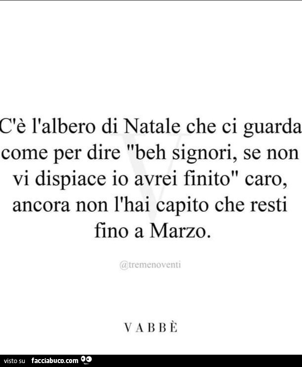C'è l'albero di natale che ci guarda come per dire beh signori, se non vi dispiace io avrei finito caro, ancora non l'hai capito che resti fino a marzo