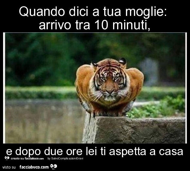 Quando dici a tua moglie: arrivo tra 10 minuti, e dopo due ore lei ti aspetta a casa
