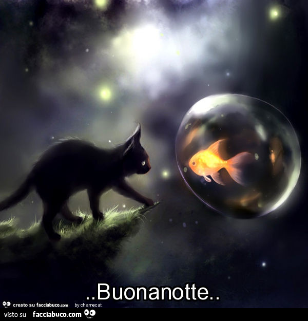 Buonanotte