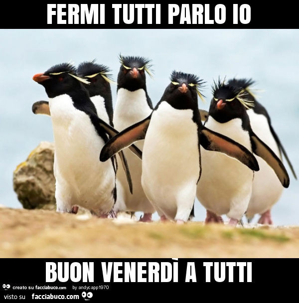 Fermi tutti parlo io buon venerdì a tutti