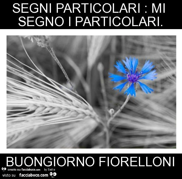 Segni particolari: mi segno i particolari. Buongiorno fiorelloni