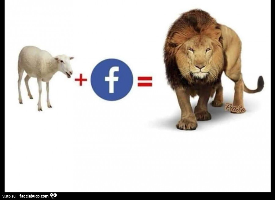Pecora più facebook uguale leone