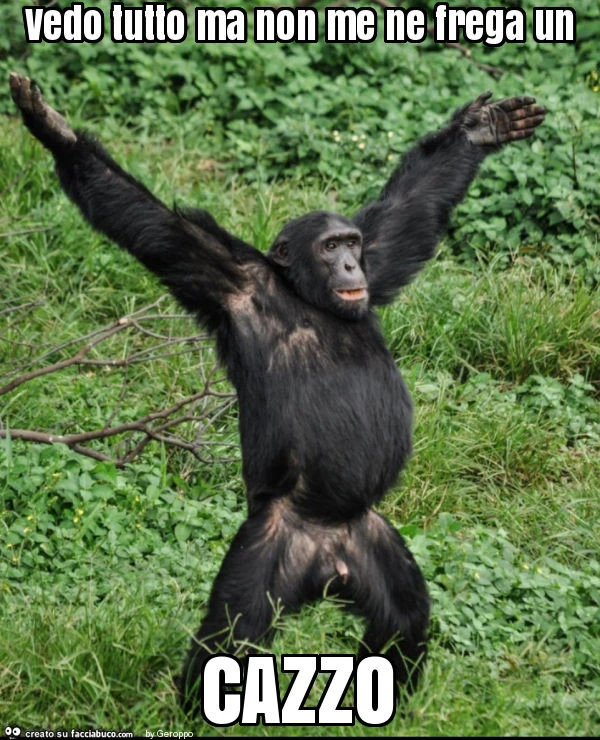 Vedo tutto ma non me ne frega un cazzo