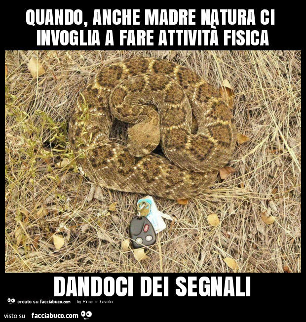 Quando, anche madre natura ci invoglia a fare attività fisica dandoci dei segnali