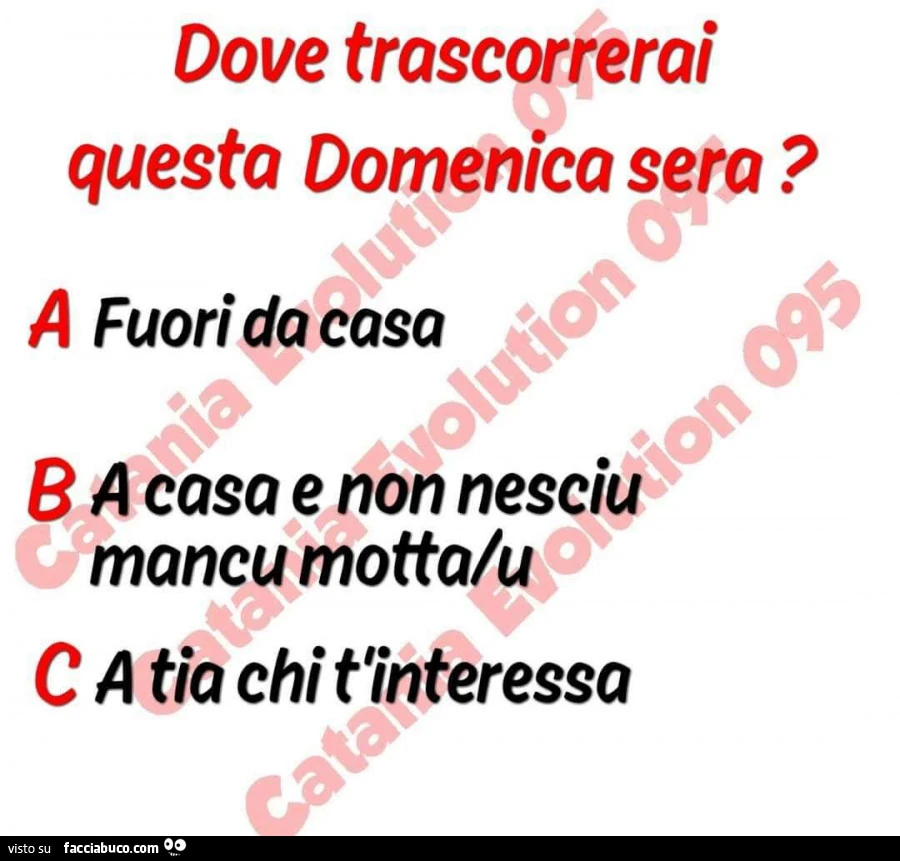 Dove trascorrerai questa domenica sera?