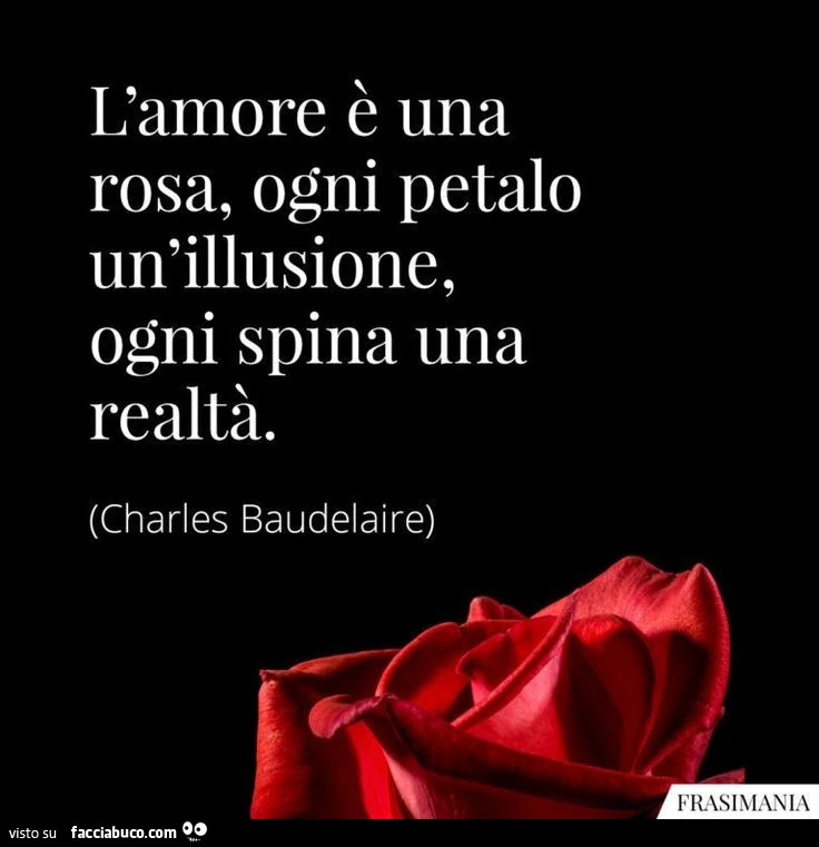 L'amore è una rosa, ogni petalo un'illusione, ogni spina una realtà. Charles Baudelaire