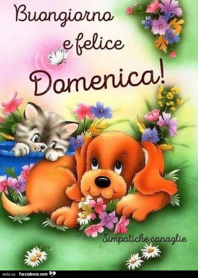 Buongiorno e felice domenica