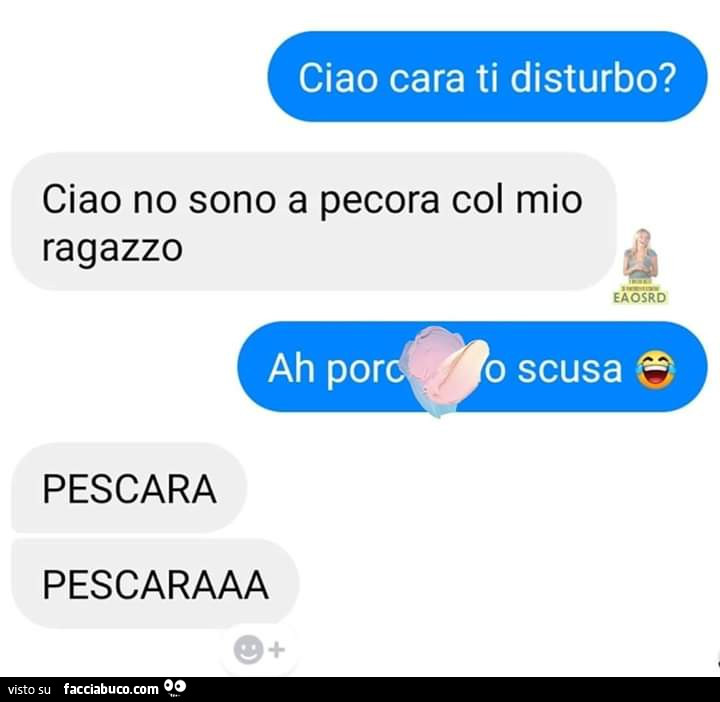 Ciao cara ti disturbo? Ciao no sono a pecora col mio ragazzo ah scusa pescara pescaraaa